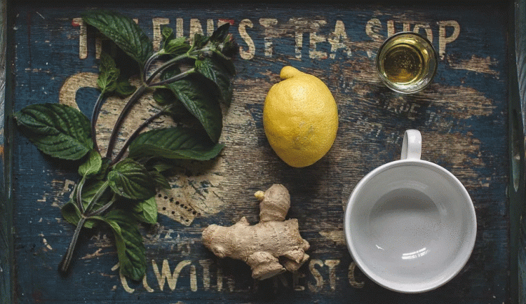 Jak na posílení imunity přírodní cestou? Vsaďte na jablečný ocet, fermentované potraviny nebo zázvor